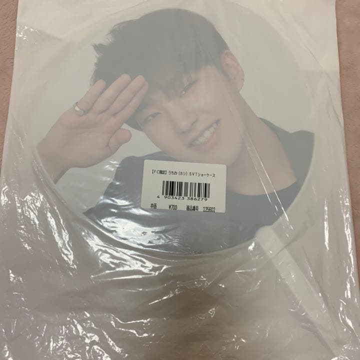 SEVENTEEN セブチ　ホシ　うちわ10枚セット