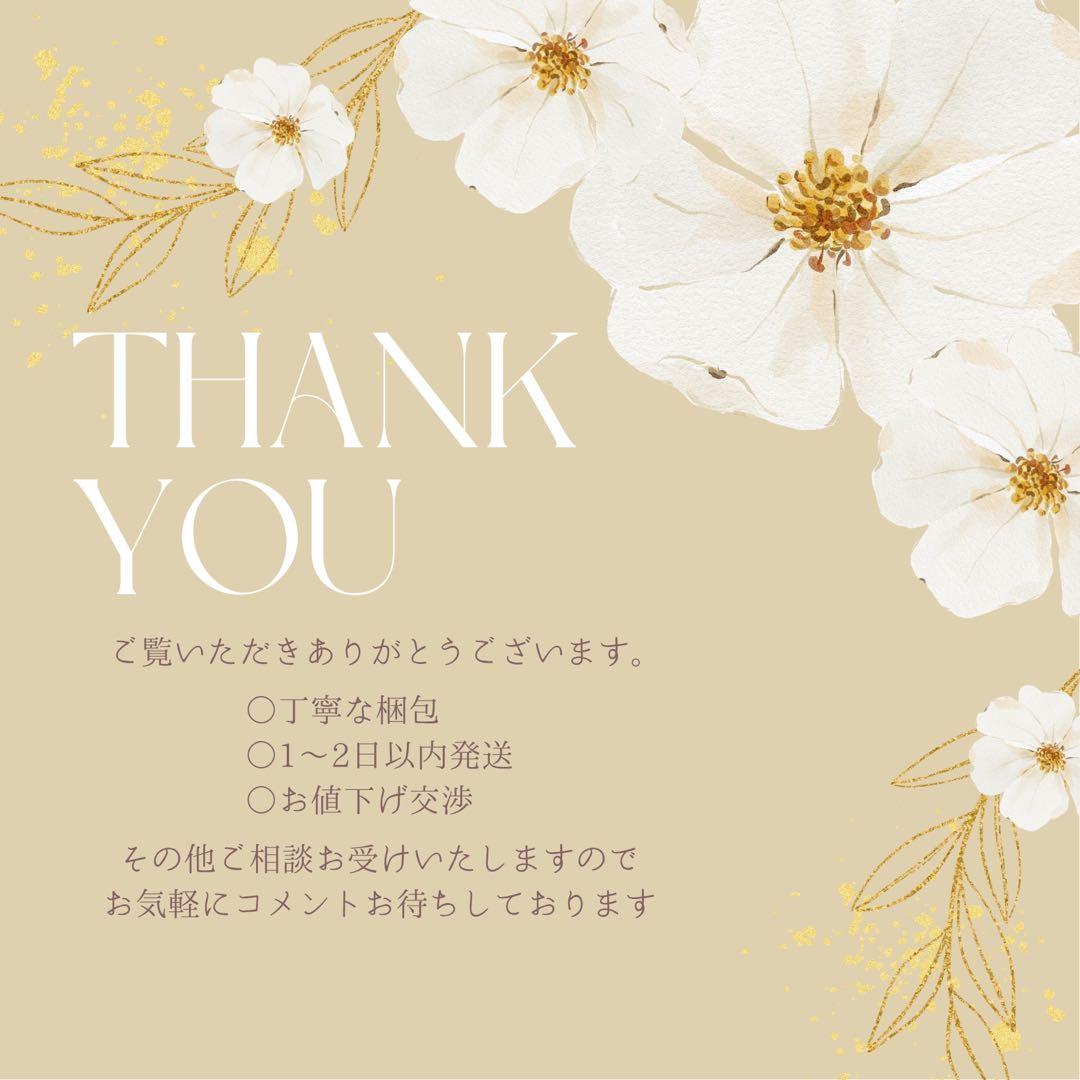 HELEN KAMINSKI ヘレンカミンスキー Cassia ショルダー　美品