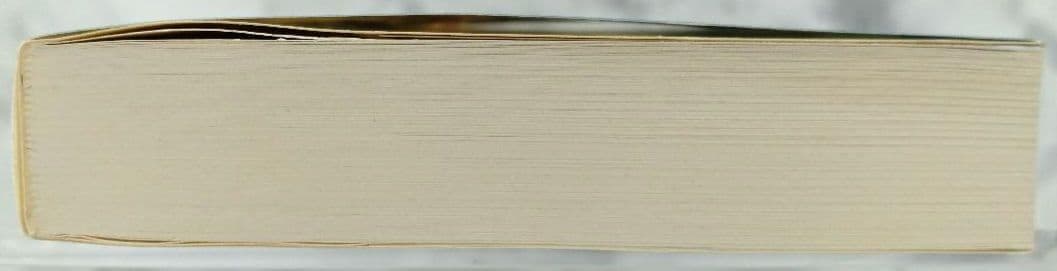 続・チャレンジ社会福祉士事務所 本 2015 初版 第1刷発行 久保田 光雄