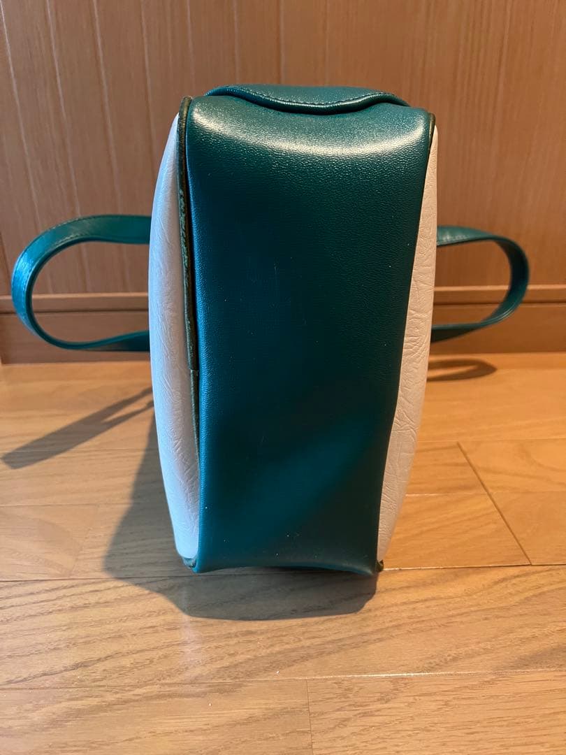 MIZUNO MASTERSシューズケース