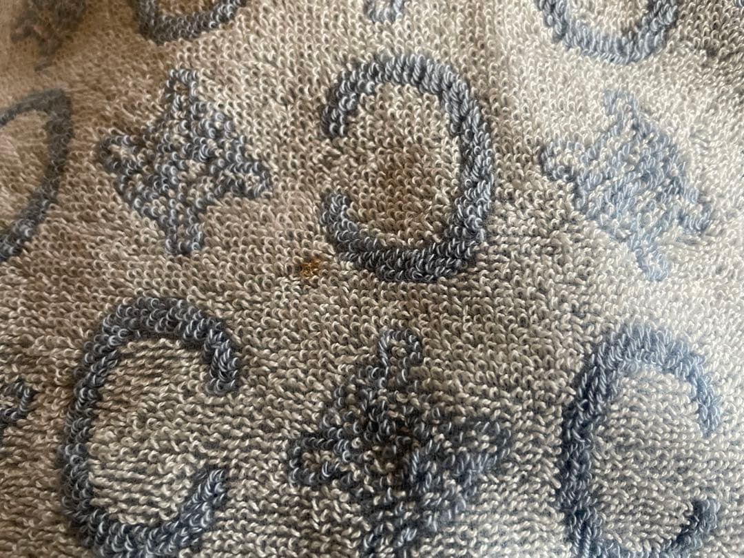 セリーヌタオルケット