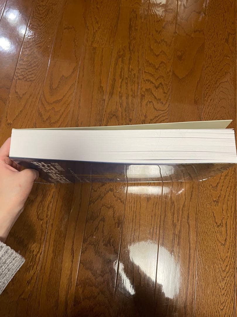 【新品未使用】テイツ/ザイガー 植物生理学・発生学　原著第6版