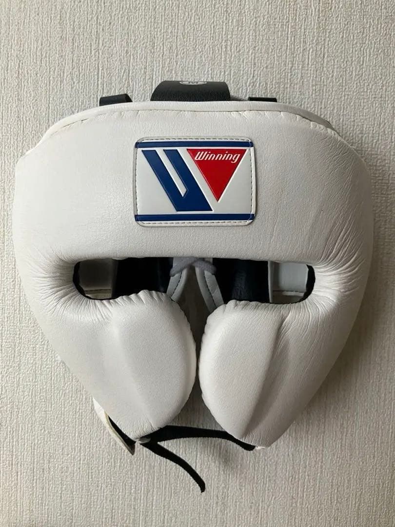 Winning ヘッドギア フルフェイスタイプ ホワイトM FG-2900