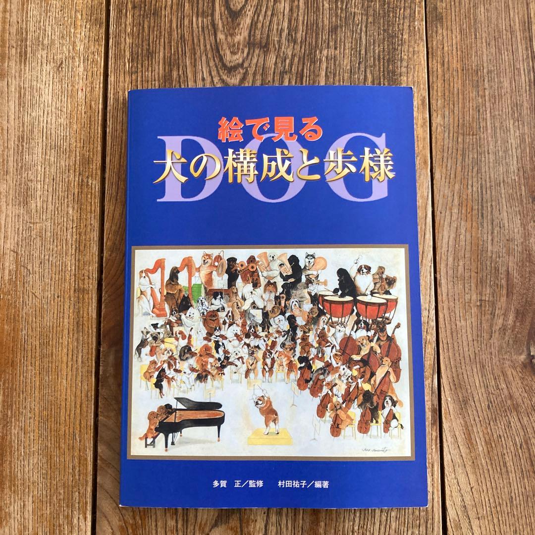 絵で見る犬の構成と歩様