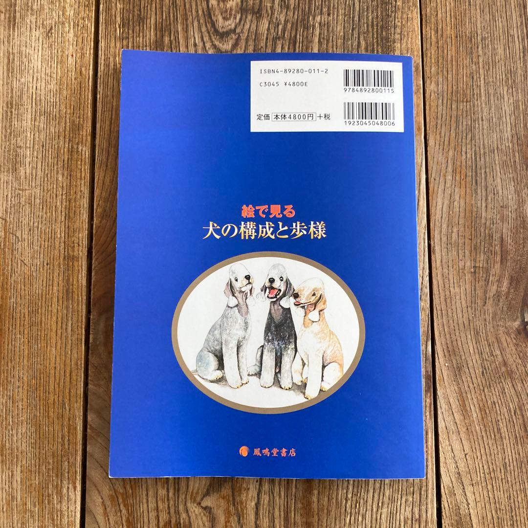 絵で見る犬の構成と歩様