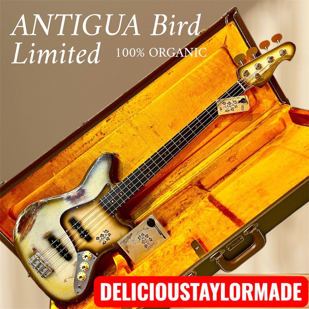 ベース DeliciousTaylormade ANTIGUA Bird JM