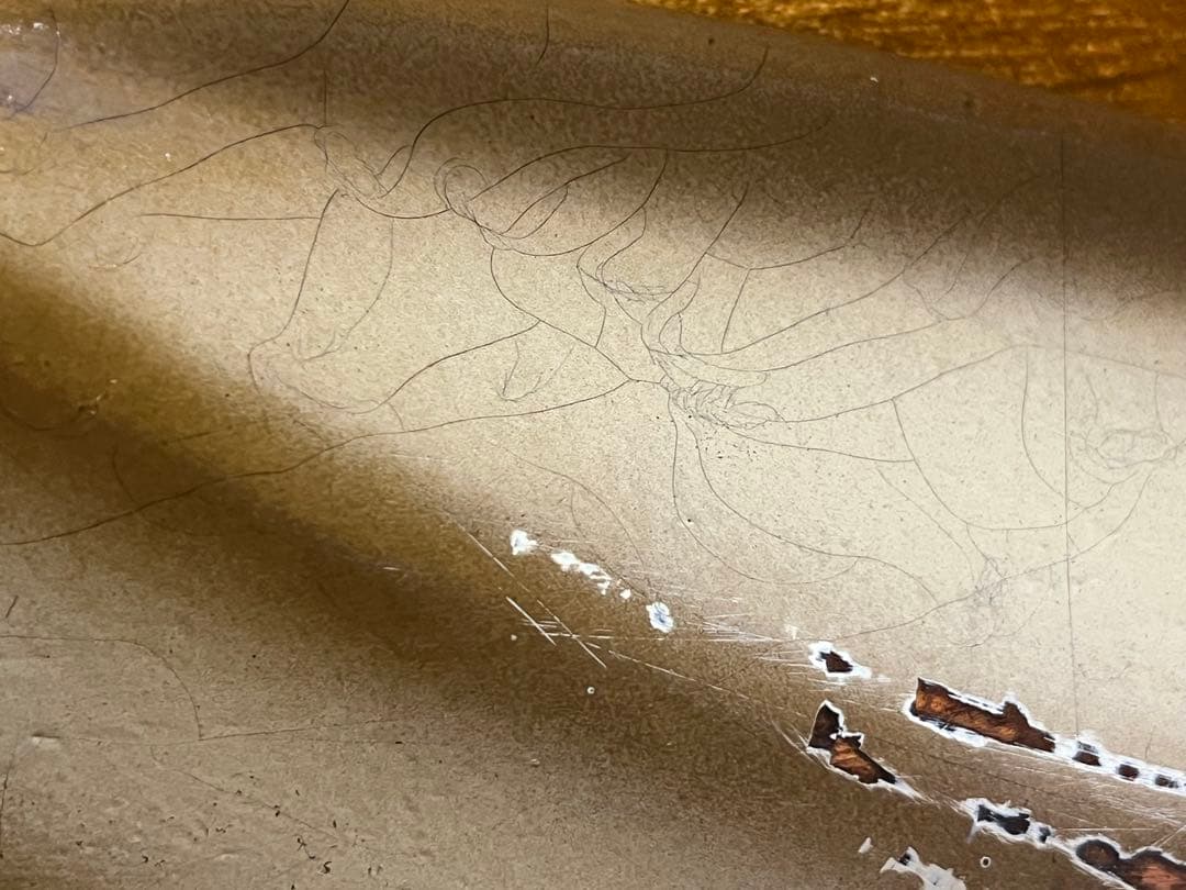 ベース DeliciousTaylormade ANTIGUA Bird JM