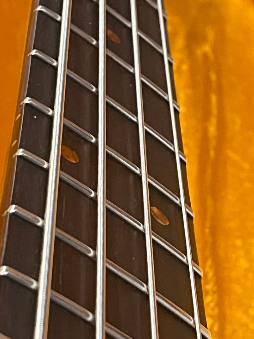 ベース DeliciousTaylormade ANTIGUA Bird JM