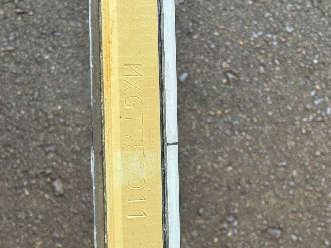 スキー vector glide Maxi GT 175cm