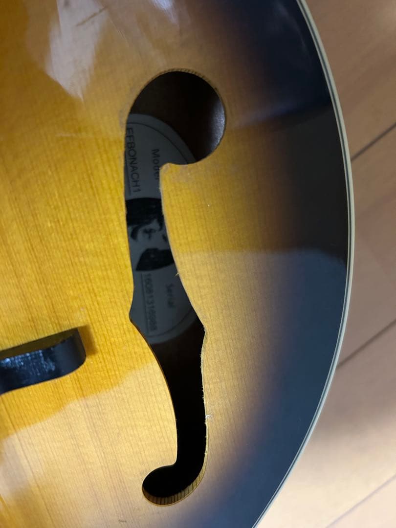 【Epiphone MM-30S マンドリン】ピックアップ搭載！