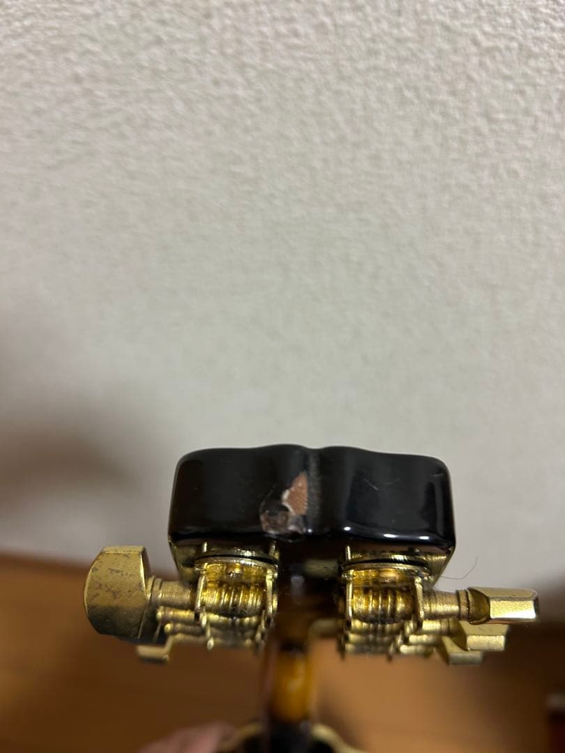 【Epiphone MM-30S マンドリン】ピックアップ搭載！