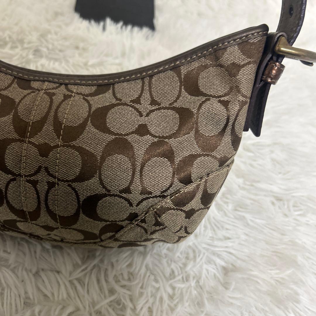 【極美品】COACH ワンショルダー シグネチャー パイソンショルダー