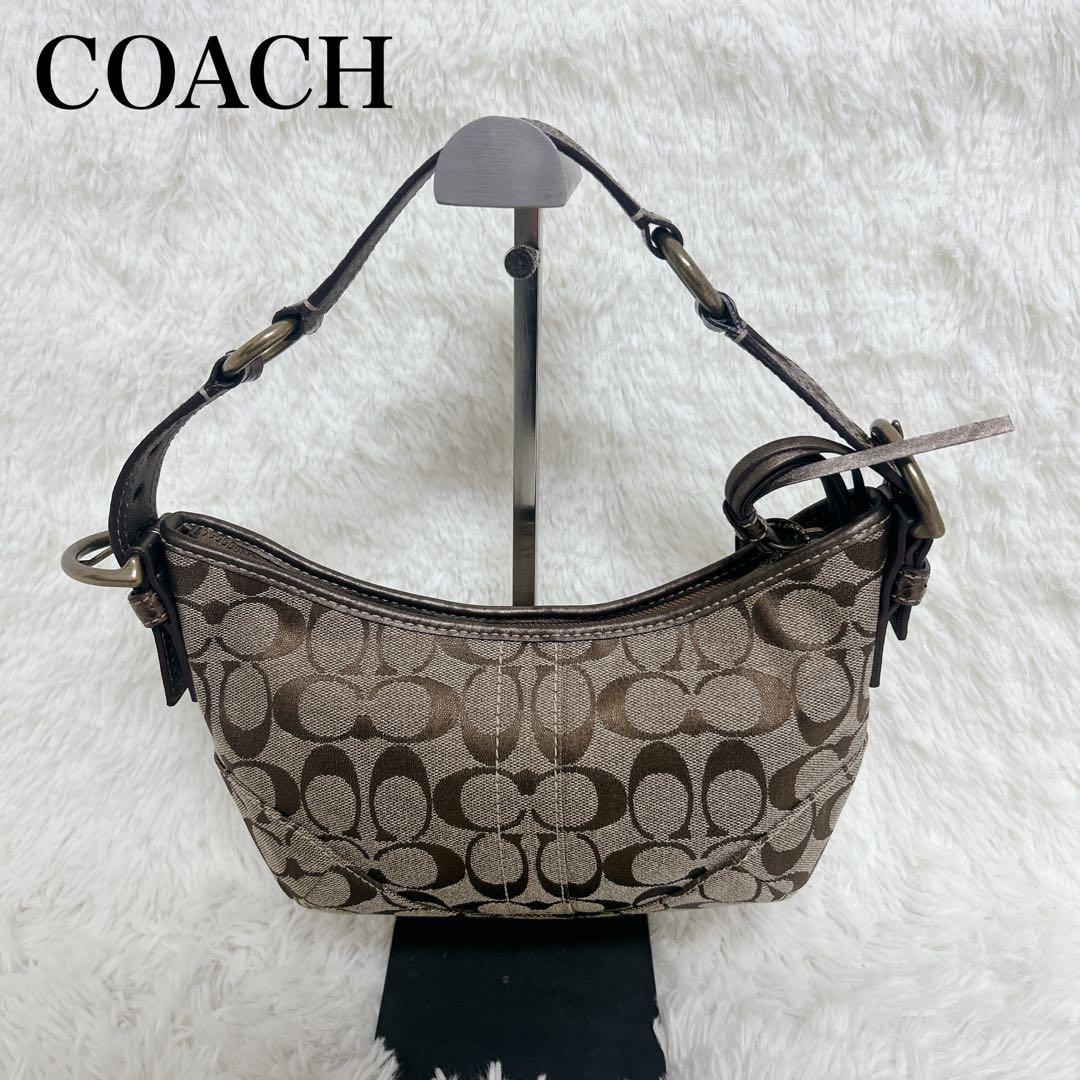 【極美品】COACH ワンショルダー シグネチャー パイソンショルダー