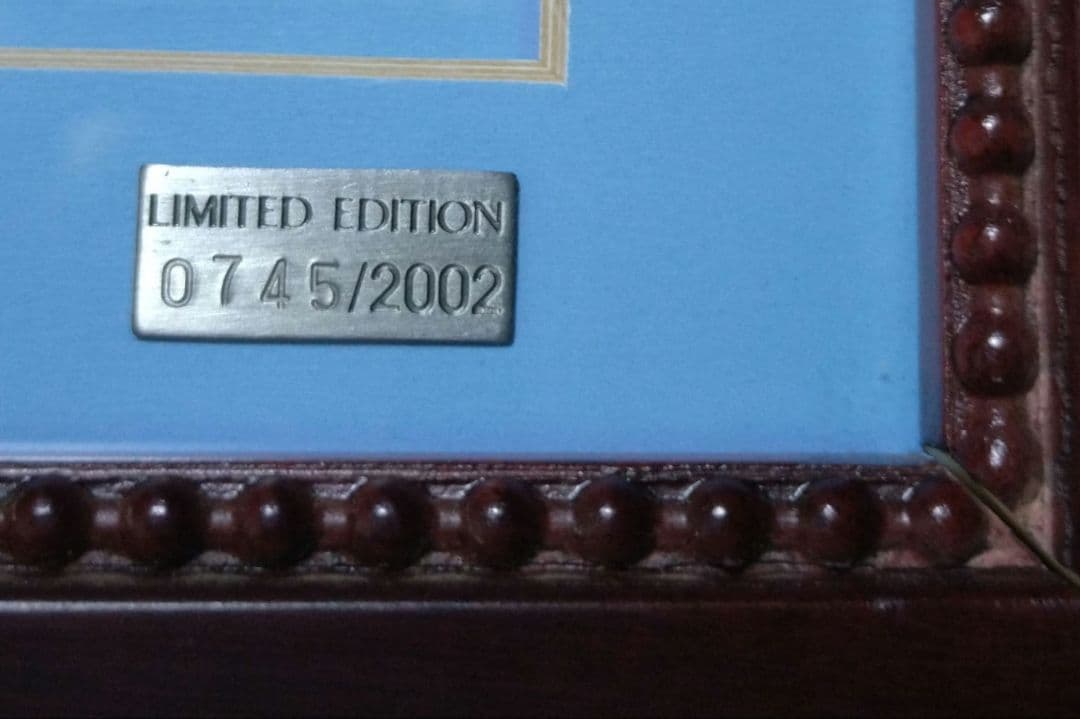 証明書付き限定品　FIFA WORLD CUP 優勝国ピンバッジセット　刻印あり