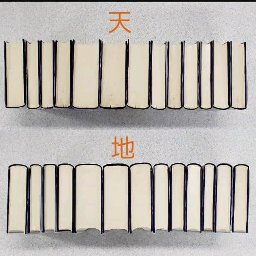 『新編　真宗全書　教義編』　13冊セット　新編真宗全書刊行会編　思文閣刊　初版