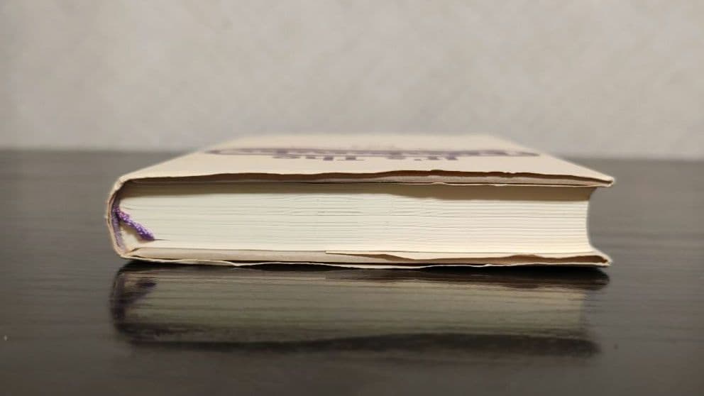 【希少】イッツ・ザ・ニンテンドウ It’s The NINTENDO