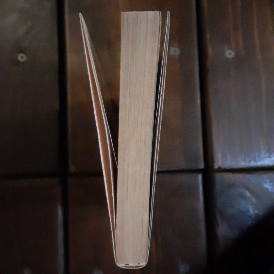 成毛厚子 バンクafter5