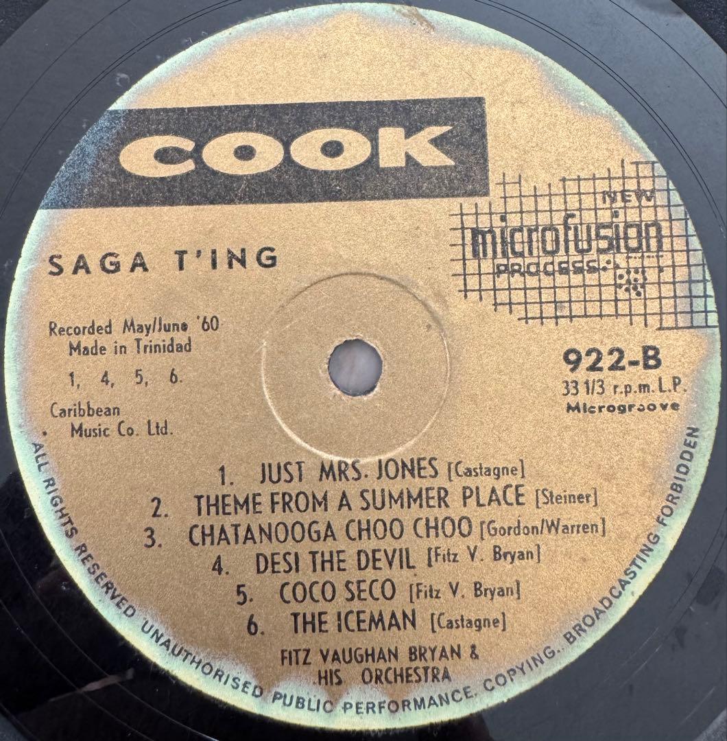洋楽 Fitz Vaughan Bryan - Saga Ting!