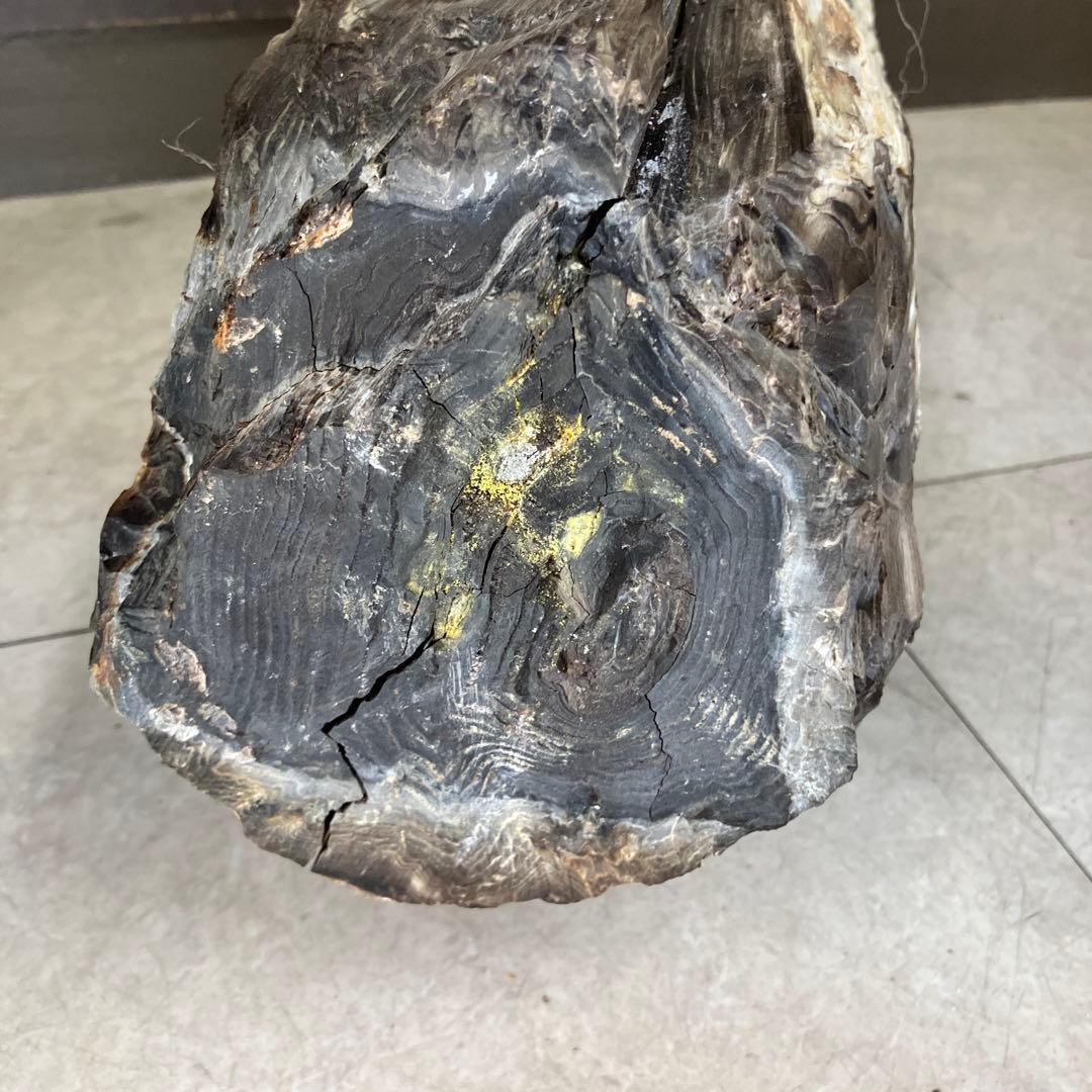 E-4 昭和レトロ 珪化木 化石 木の化石 鑑賞石 置物 飾り インテリア