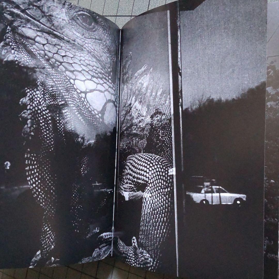 森山大道 The World through My Eyes