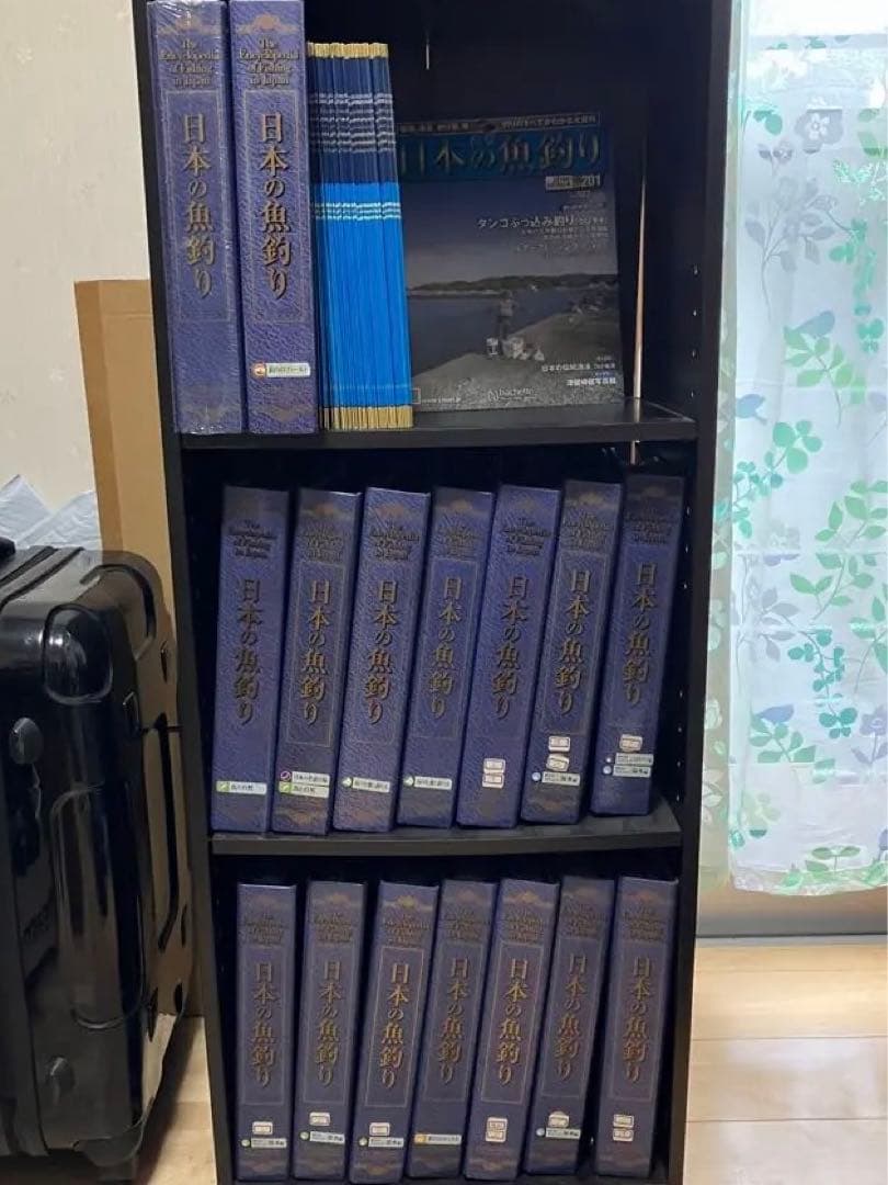 ①/2週刊　日本の魚釣り　まとめ売り　大量　アシェット