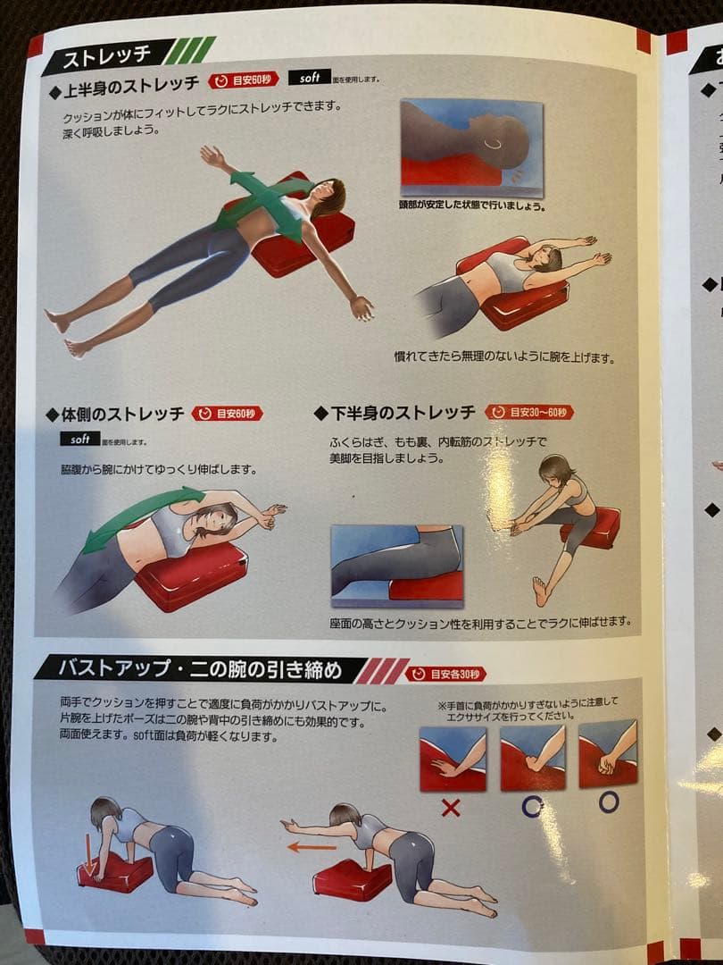 ディノス　パーフェクトエクサ　ブラウン　エクササイズクッション