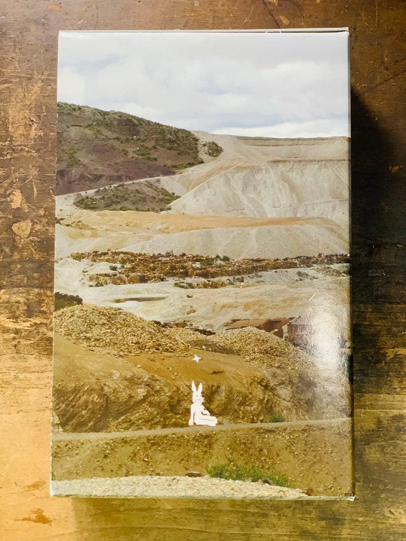 美品　うさぎ！ 小沢健二　希少　ひふみよ出版部　セット　函付き