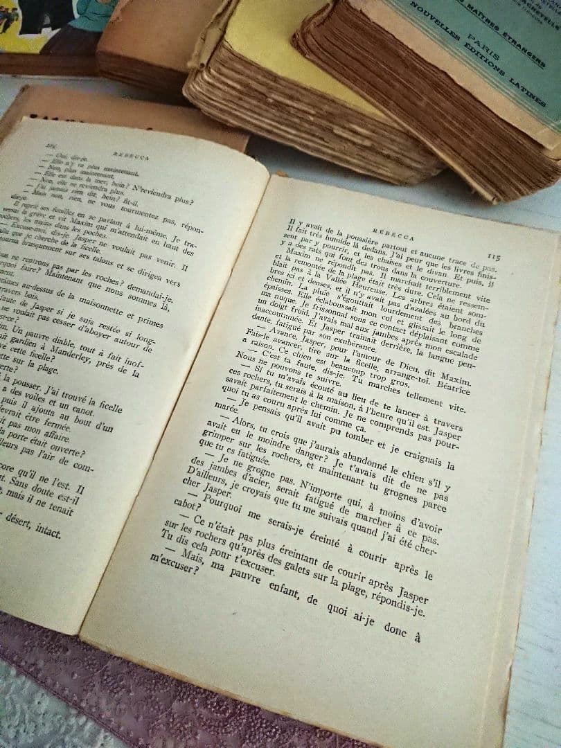 【1.7kgまとめ売り】古書 洋書 フランス語