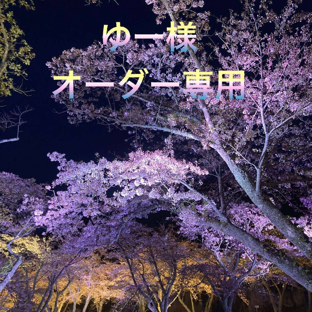 ゆー様オーダー専用ページ