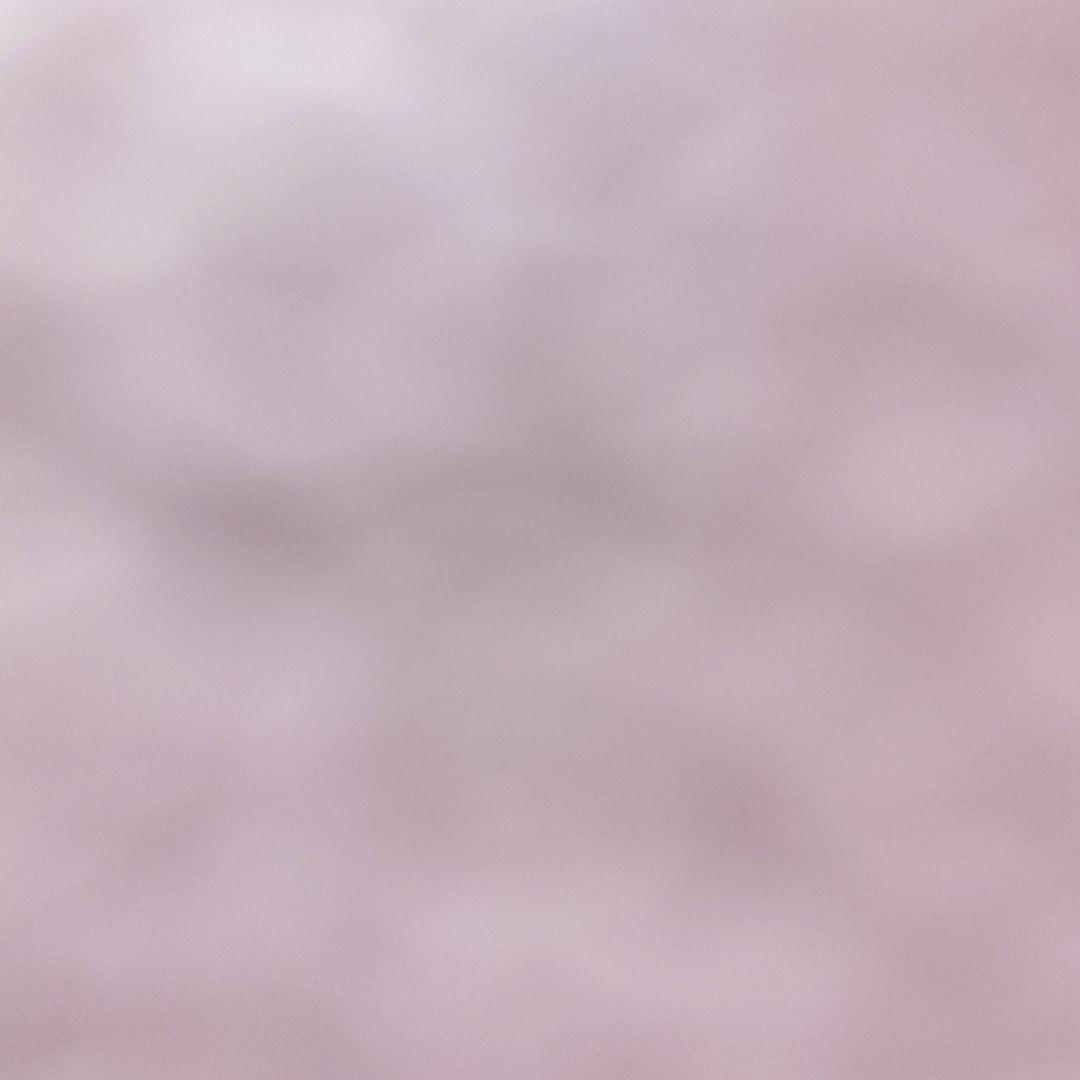 Vet's Pet ペットサプリメント 90粒