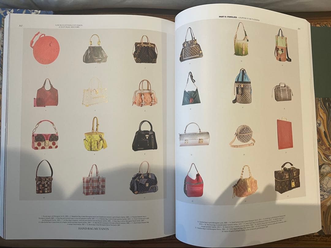 洋書　Louis Vuitton: City Bags 美品