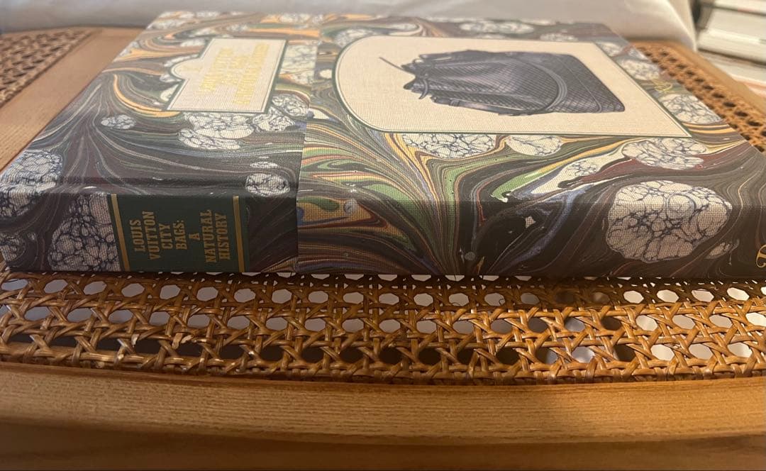 洋書　Louis Vuitton: City Bags 美品