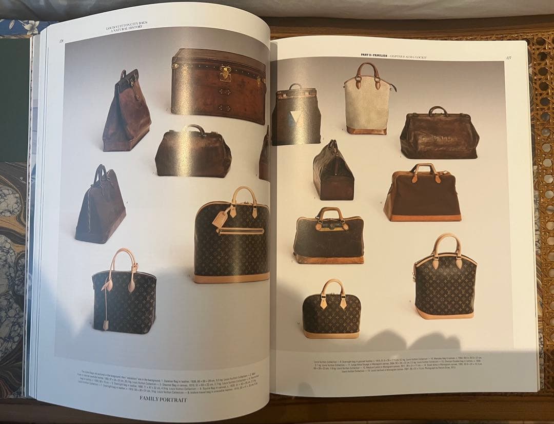 洋書　Louis Vuitton: City Bags 美品