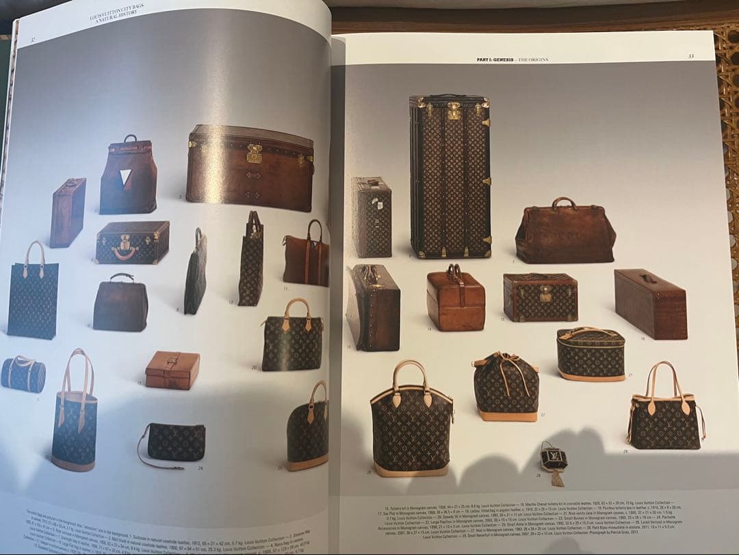 洋書　Louis Vuitton: City Bags 美品