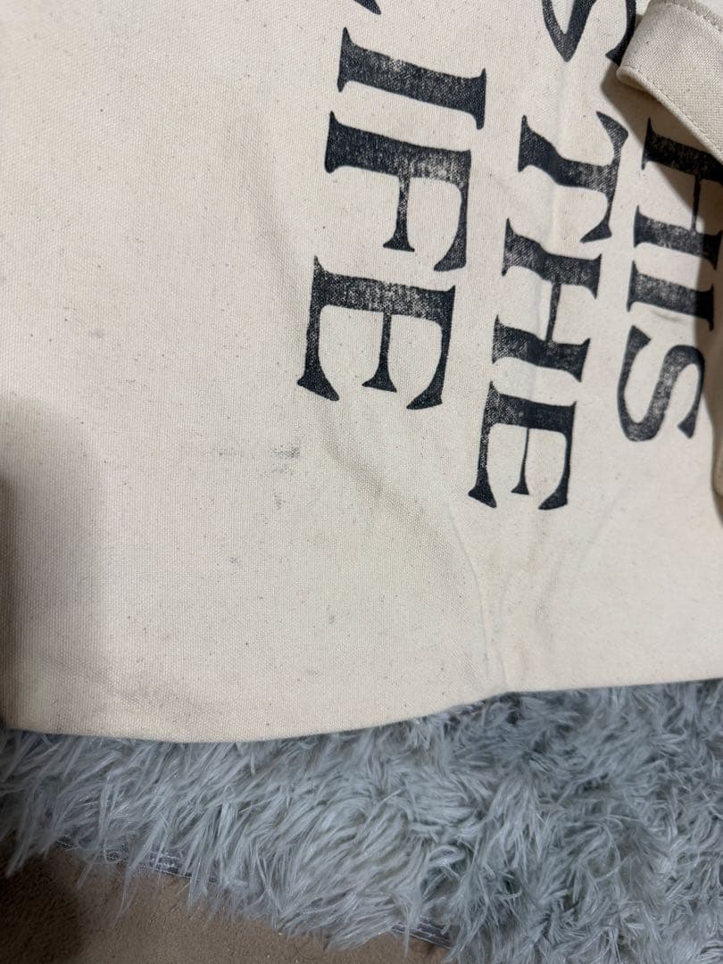 バッグ visvim CANVAS RECORD BAG