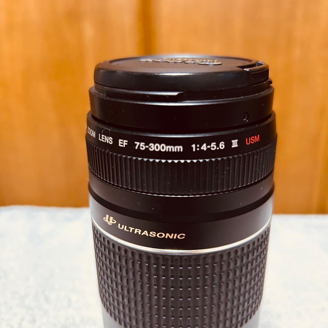 Canon EF 75-300mm 4-5.6 III USM 超望遠レンズ
