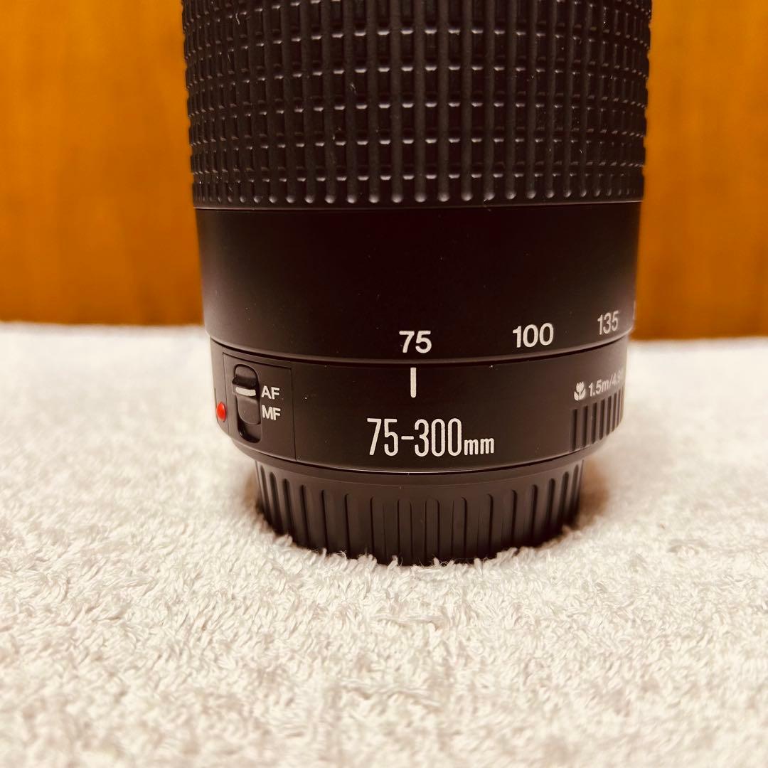 Canon EF 75-300mm 4-5.6 III USM 超望遠レンズ