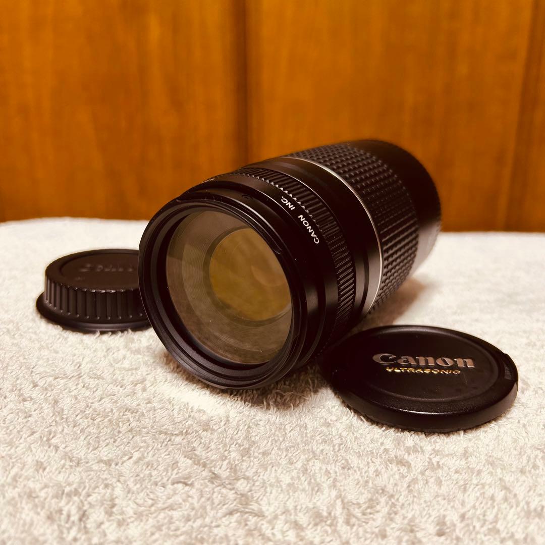 Canon EF 75-300mm 4-5.6 III USM 超望遠レンズ