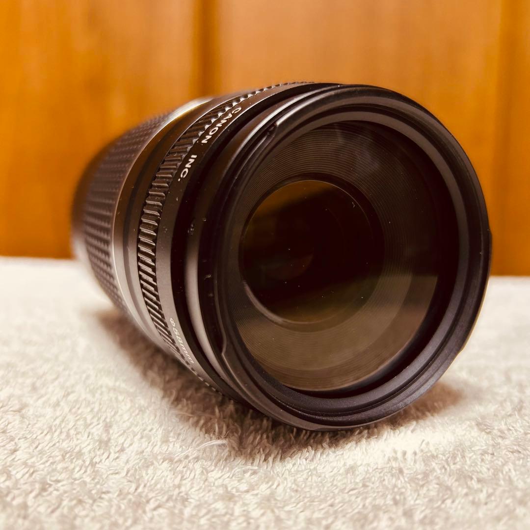 Canon EF 75-300mm 4-5.6 III USM 超望遠レンズ
