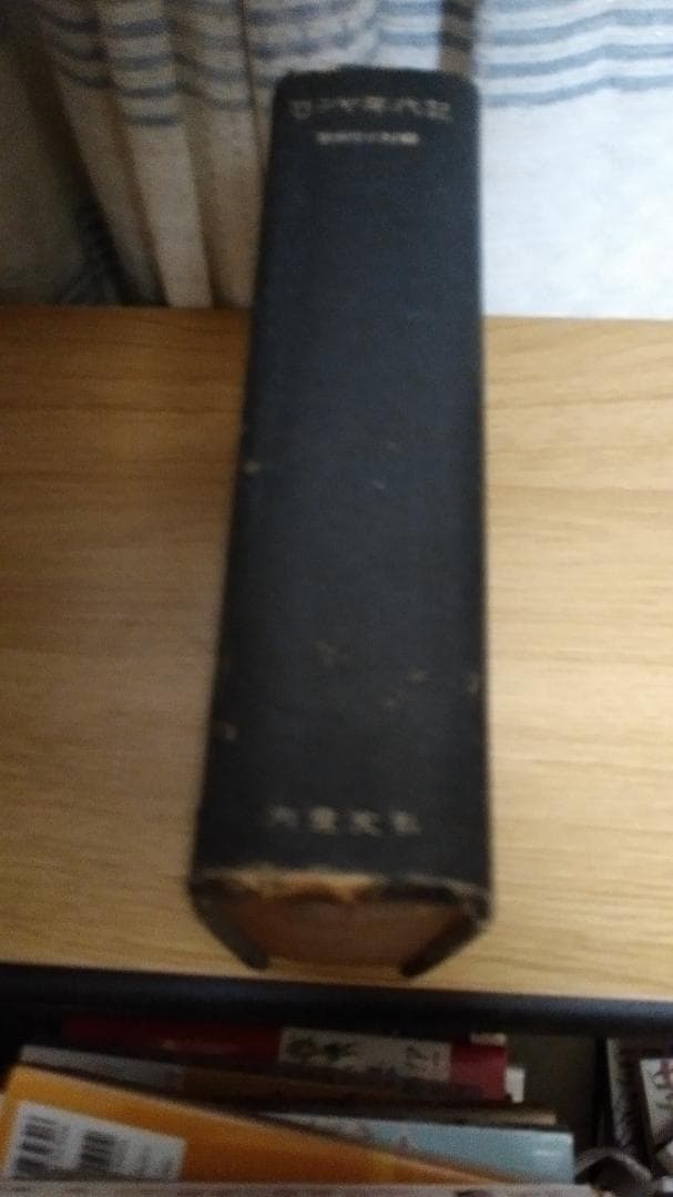 期間限定お値下げ！激レア！早い者勝ち！　ロシヤ年代記