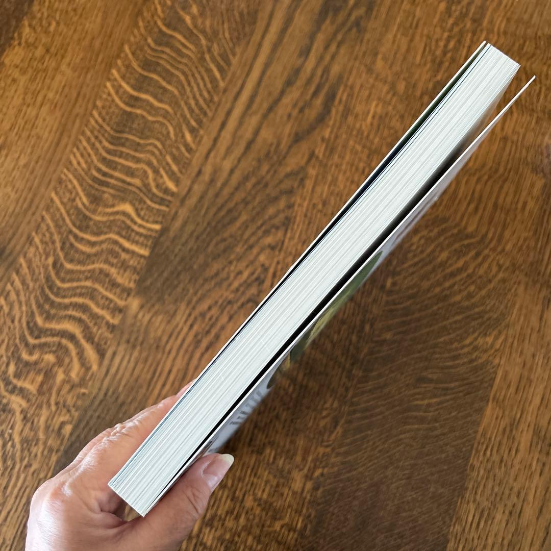 【貴重】日本のバスカラー名鑑　路線バス編