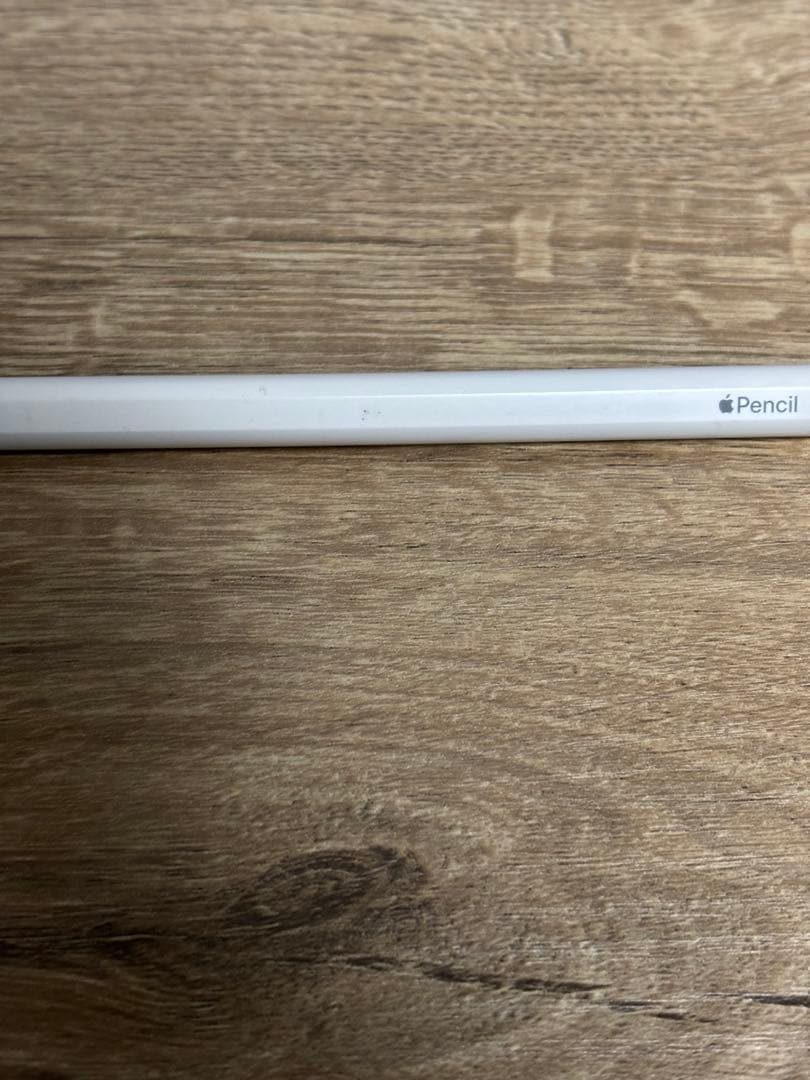 iPad Pro 第5世代 12.9インチ Cellular スペースグレー