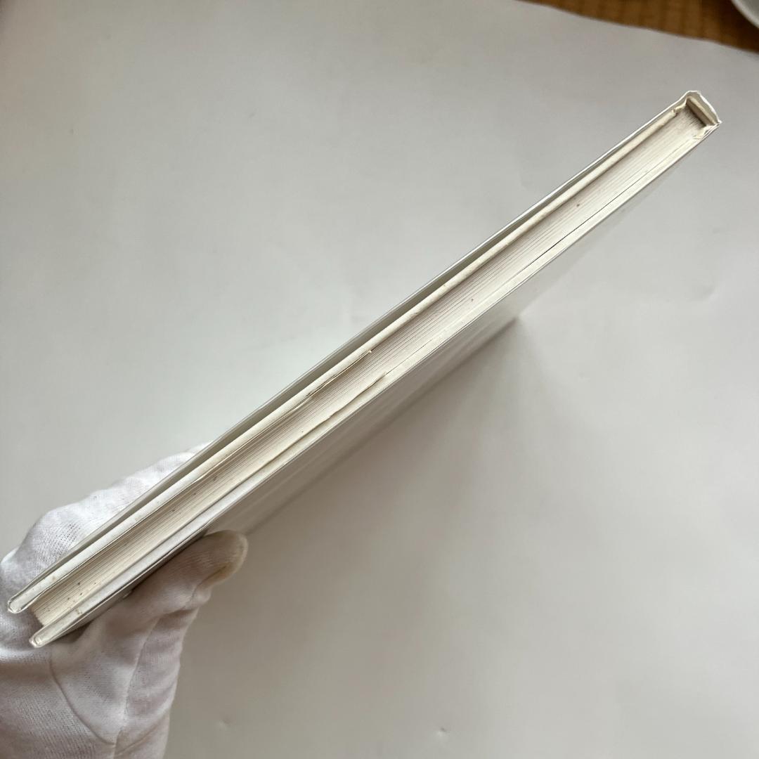 バーゼルへの道　ヘルムート・シュミット　der Weg nach Basel