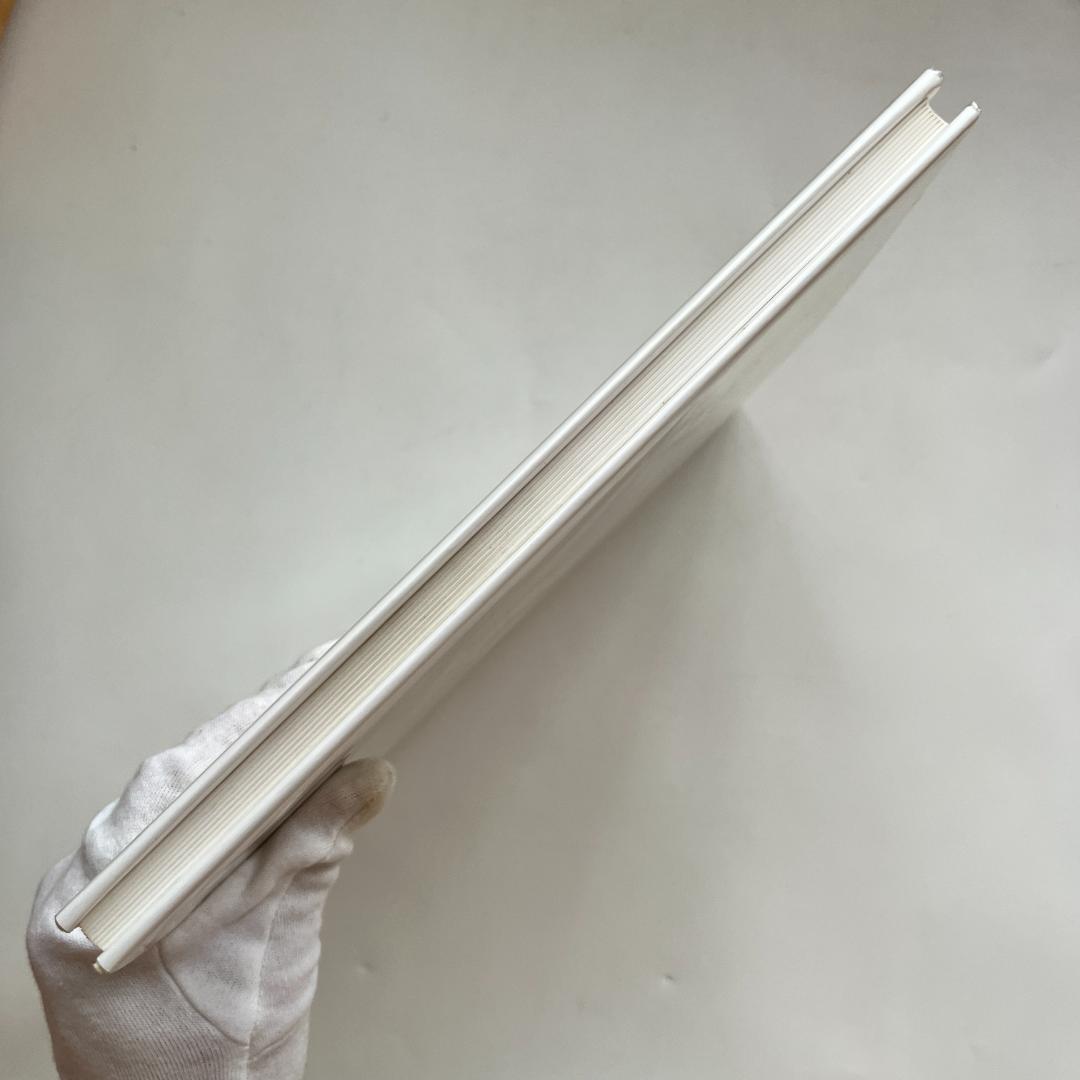 バーゼルへの道　ヘルムート・シュミット　der Weg nach Basel