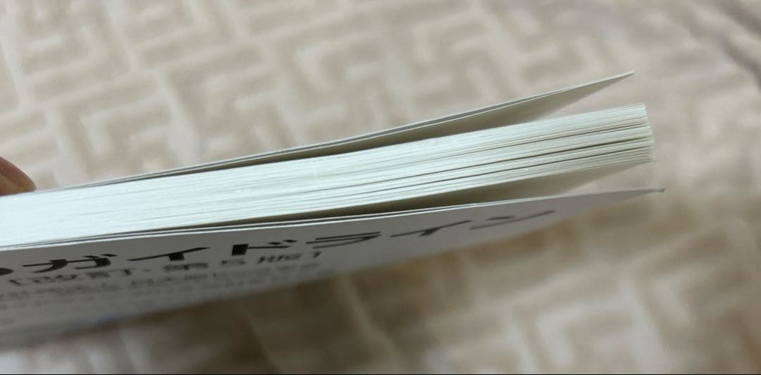 脳ドックのガイドライン　2019 改訂　第5版