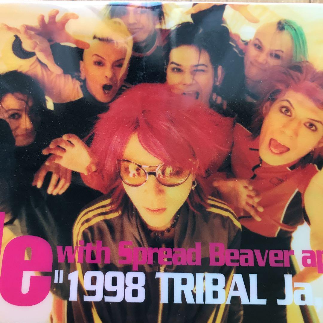 hide with Spread Beaver/hide with Sprea…