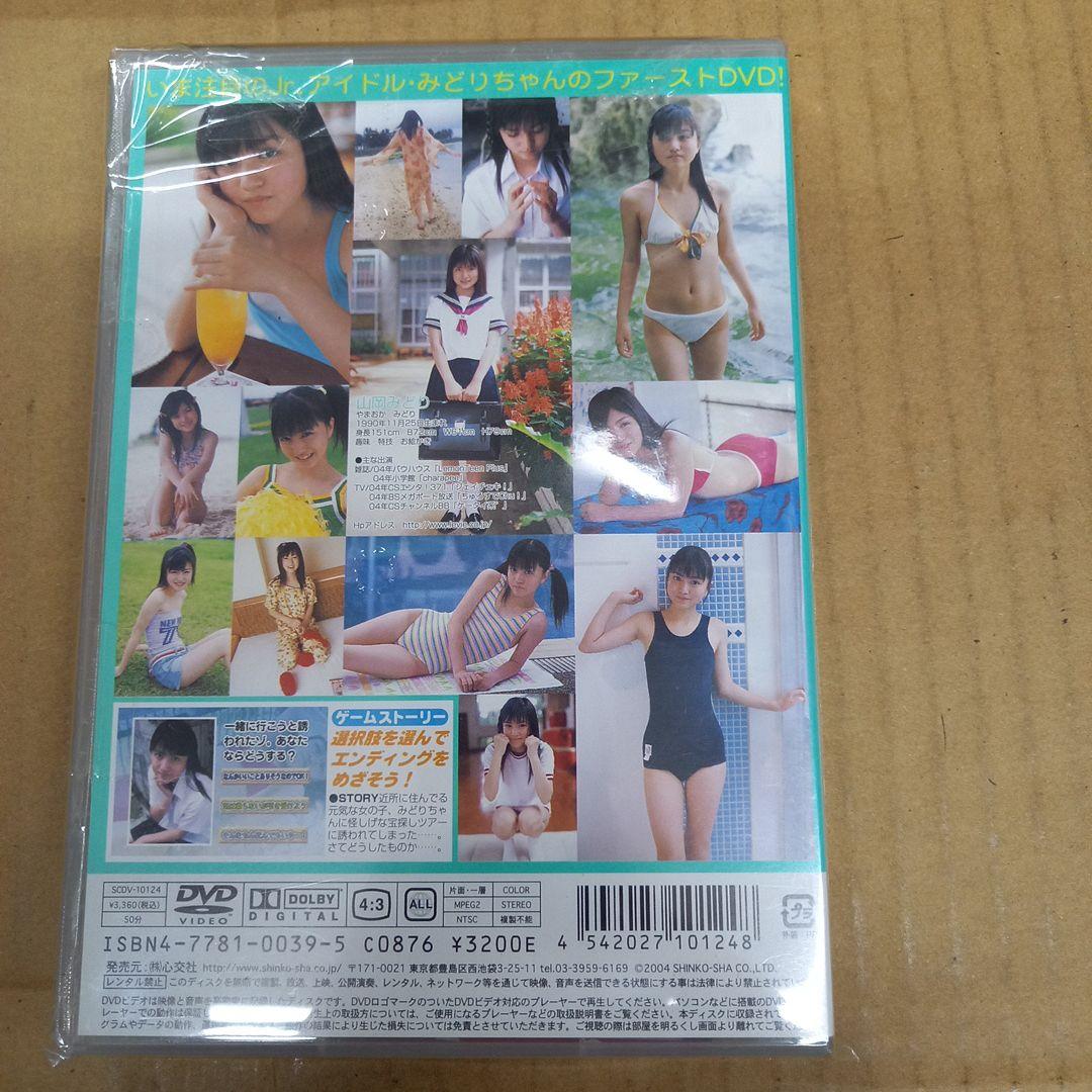 しんこきゅう　山岡みどり　チラシ２枚付き
