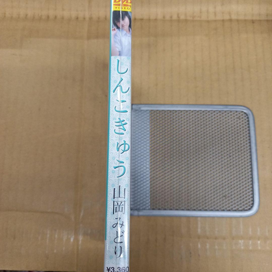 しんこきゅう　山岡みどり　チラシ２枚付き