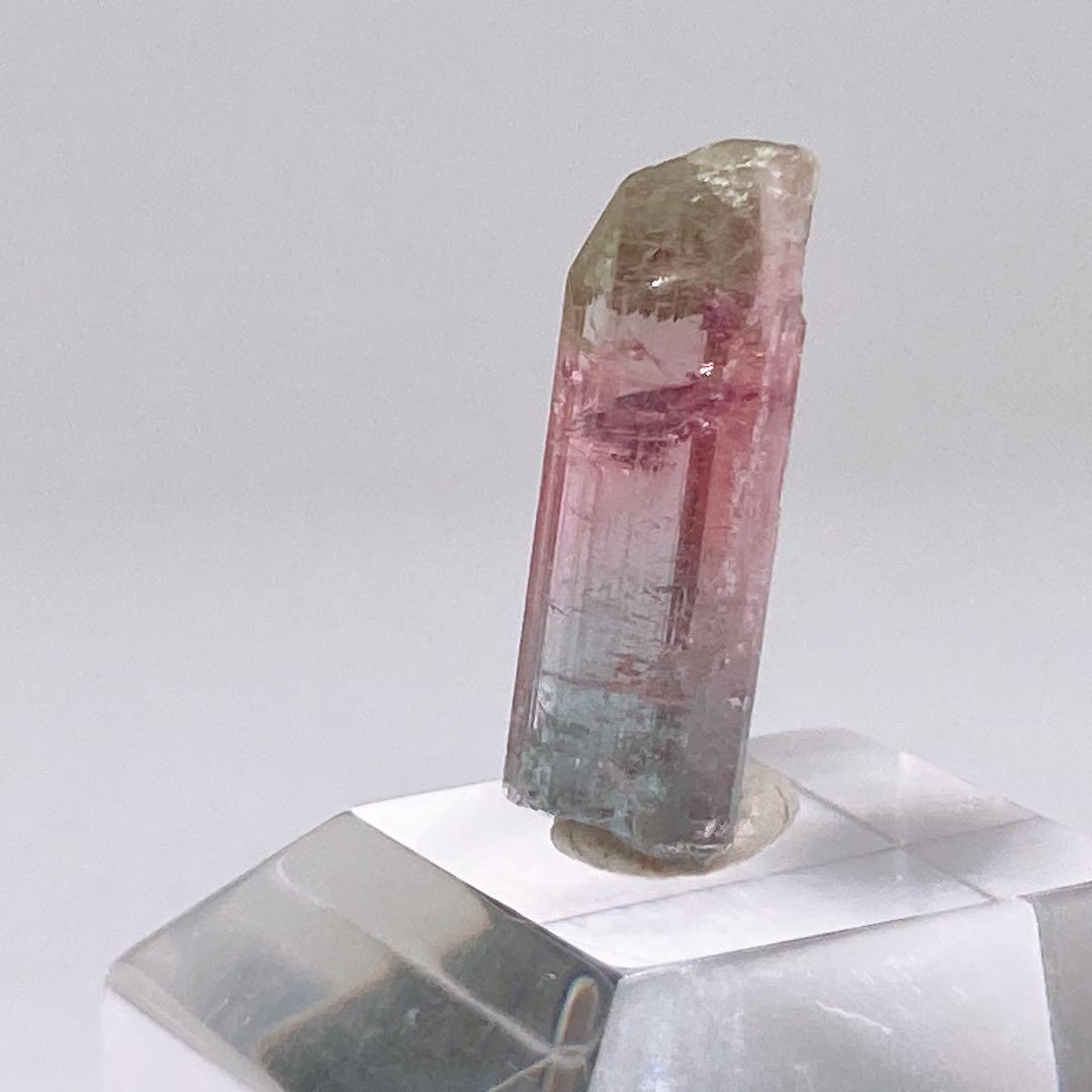 トルマリン　トリカラー　原石　鉱物標本　460