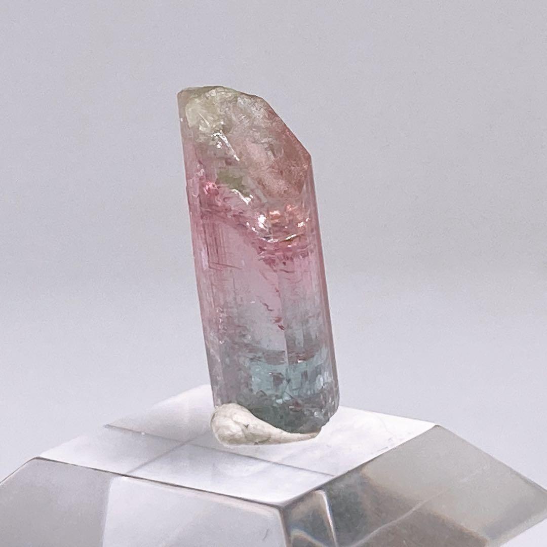 トルマリン　トリカラー　原石　鉱物標本　460